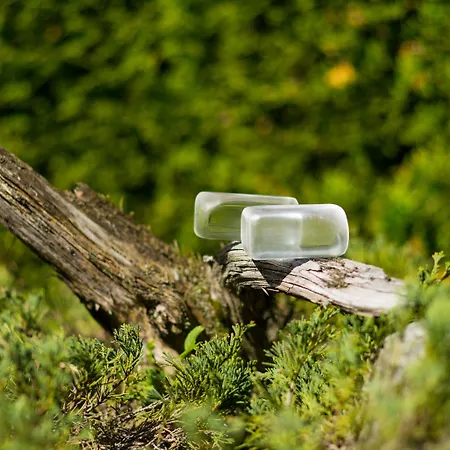 Alpenblick Бадгаштейн