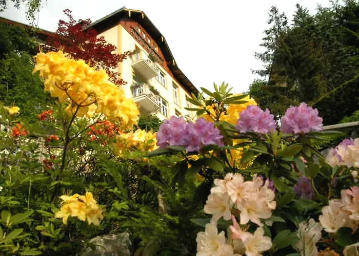 Hotel Alpenblick Bad Gastein
